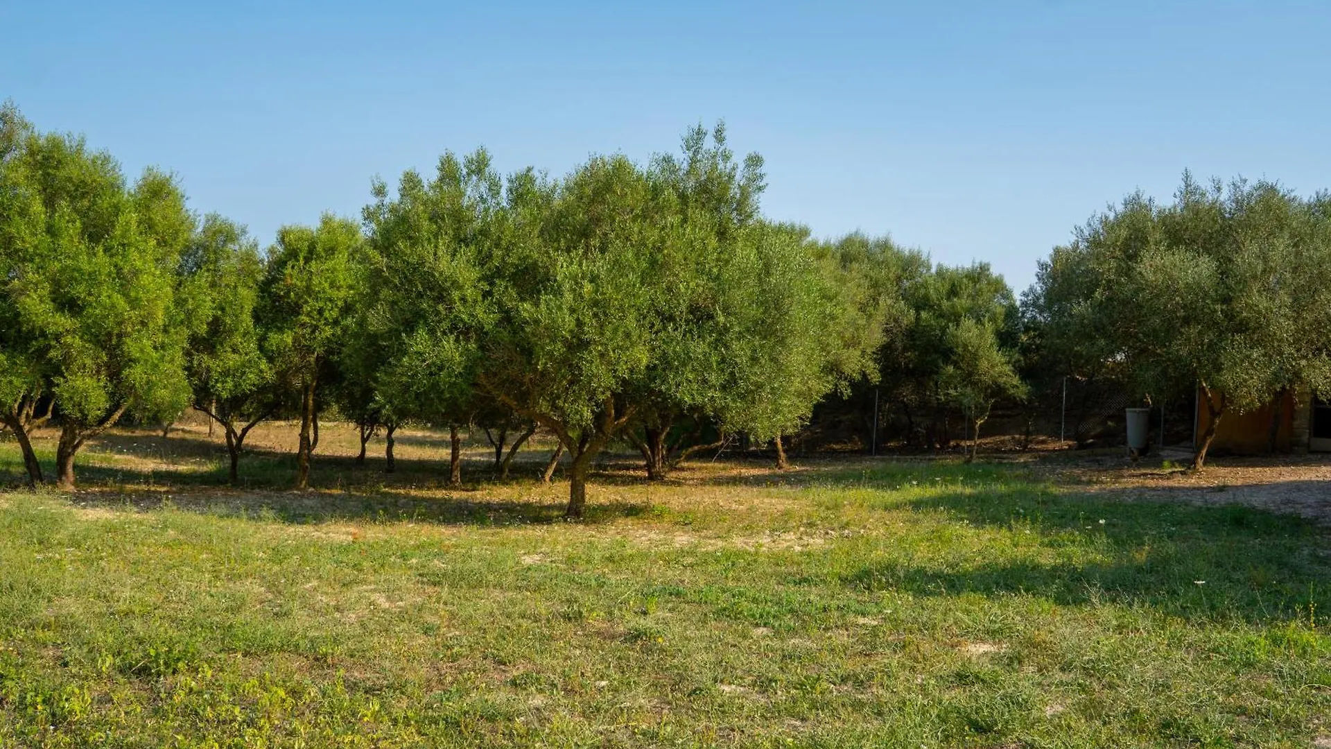 Ses Cases D'Alcudiola Santa Margalida