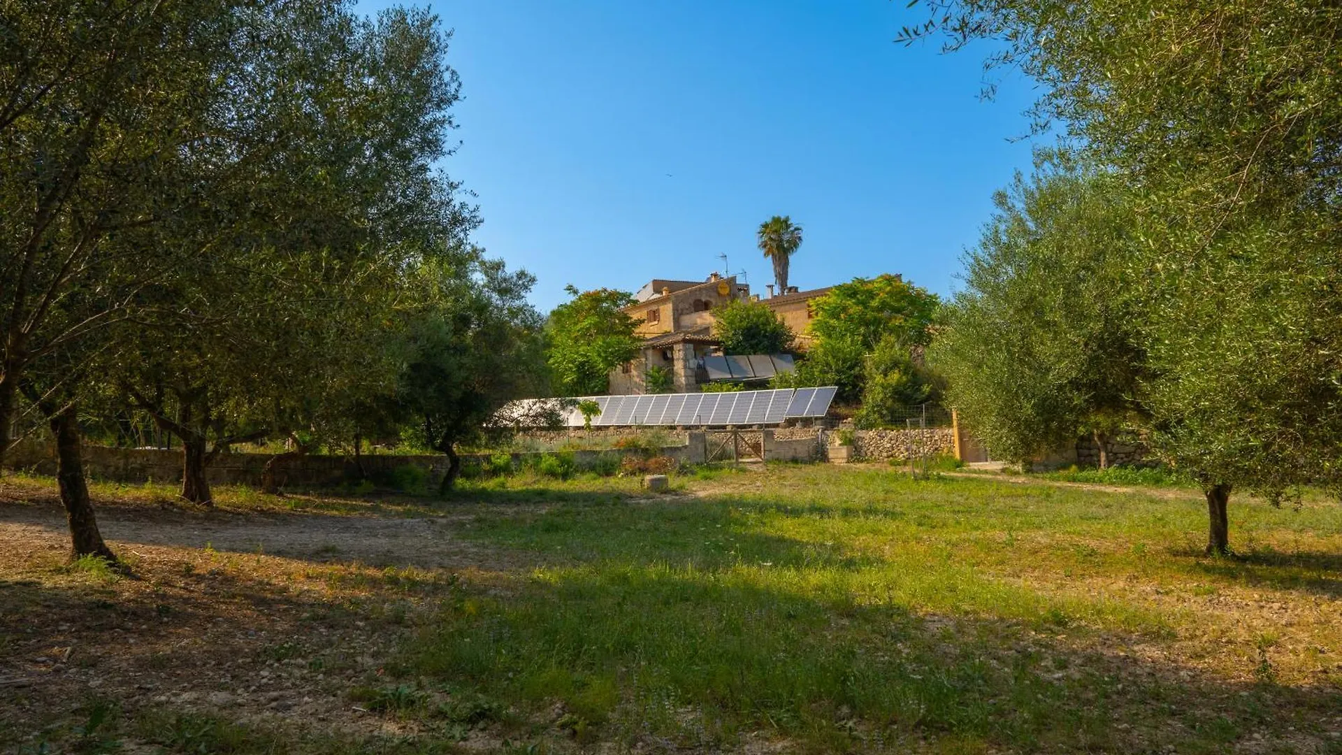 Ses Cases D'Alcudiola Santa Margalida Apartment